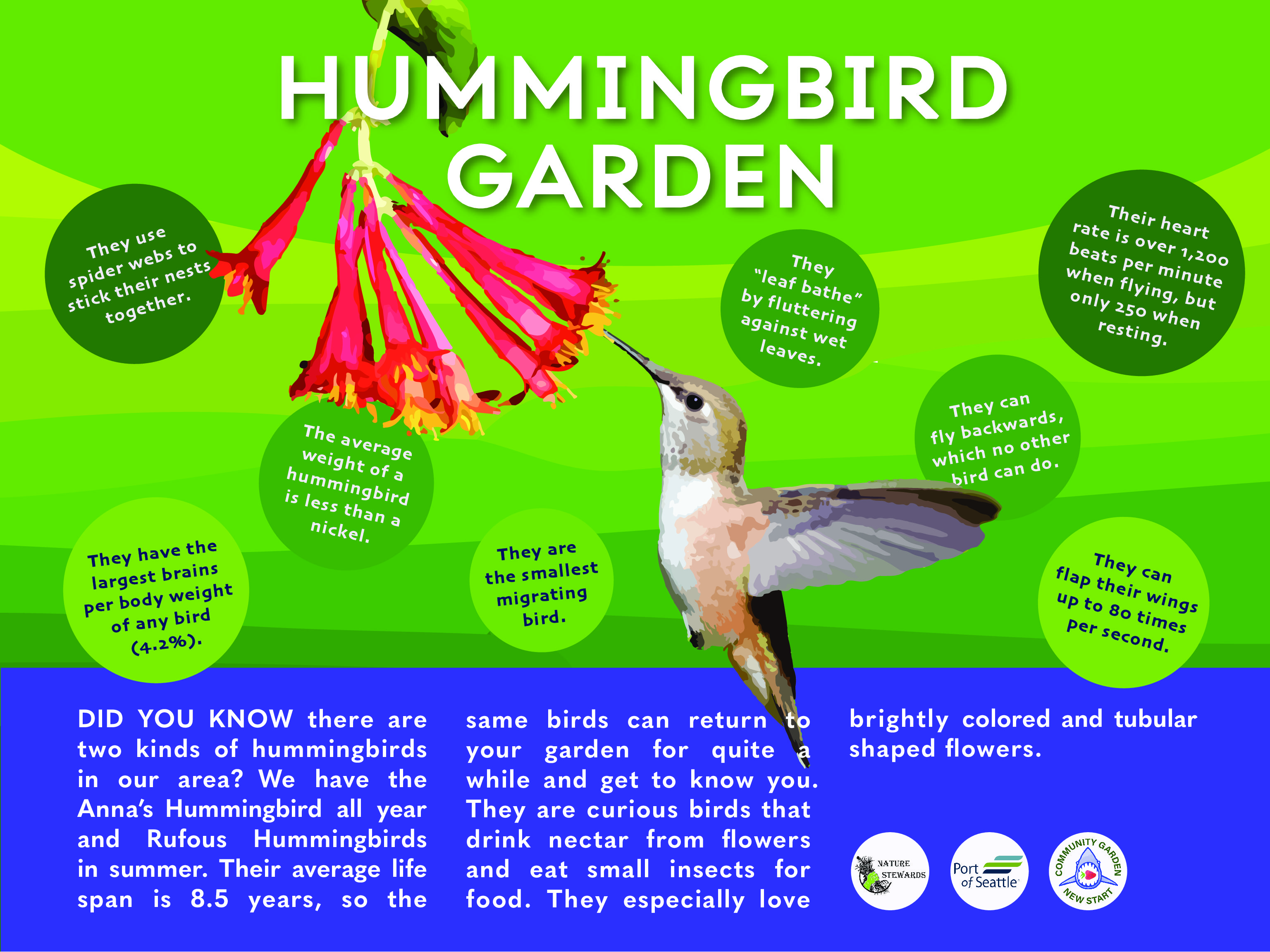 Humming Bird Sign v6